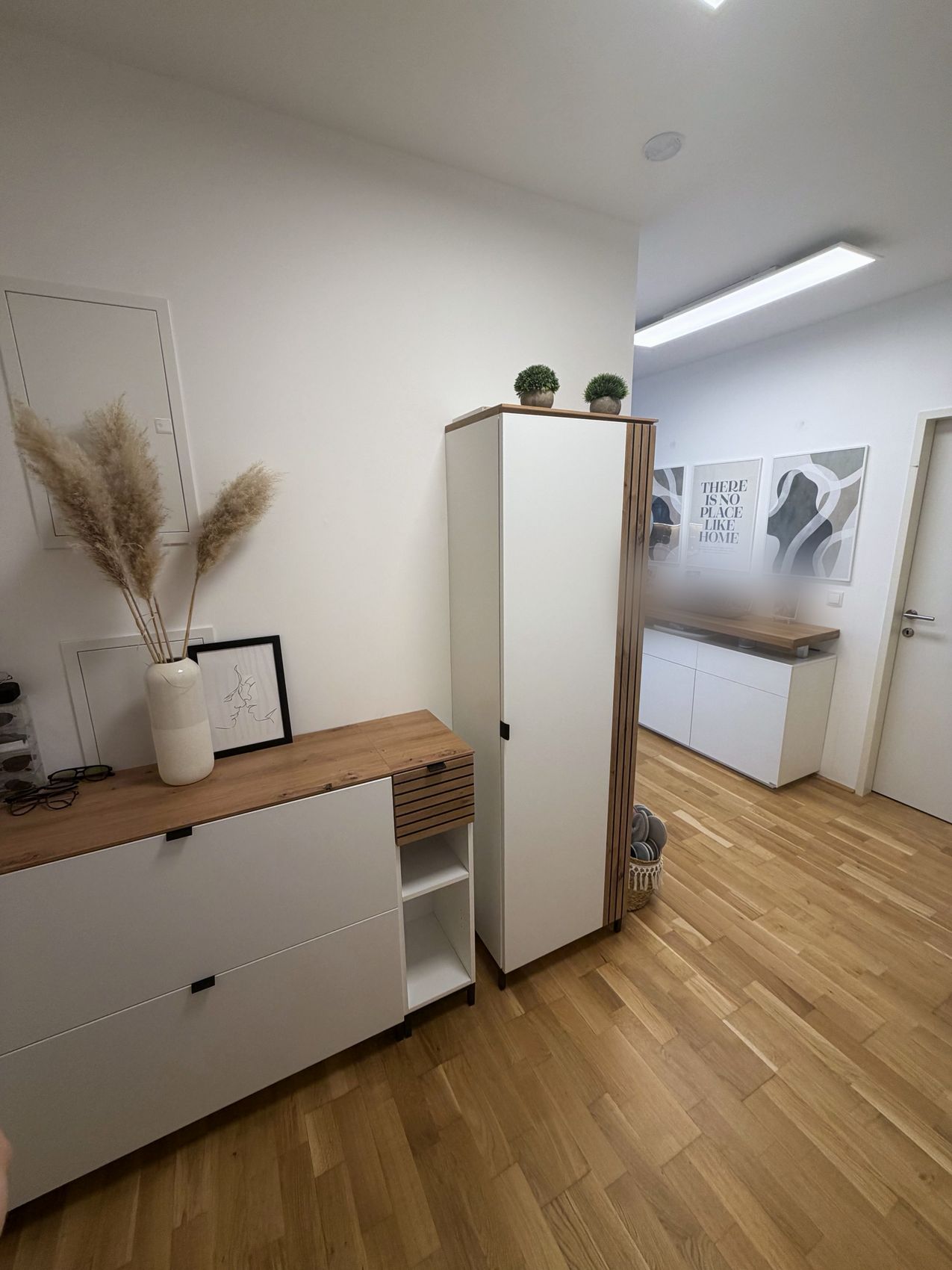 Vorraum mit Schuhschrank und Hochschrank